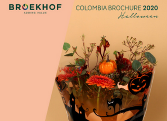 catalogo-broekhof-colombia-2